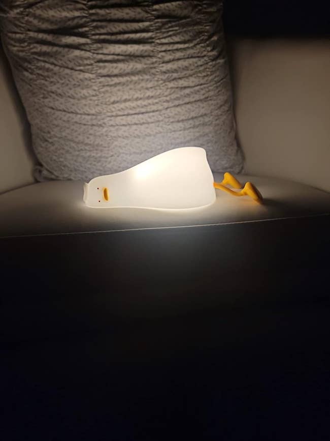Duck-shaped lamp on a shelf, illuminated