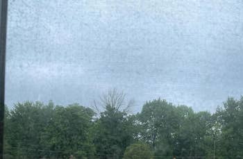 Trees nether  a cloudy sky, viewed done  a model   screen, creating a textured effect