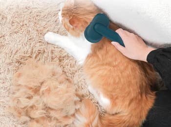 A person uses a grooming tool on a fluffy cat, with a pile of collected fur beside them, highlighting pet grooming products