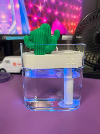 the larger transparent cactus humidifier at a reviewer's desk