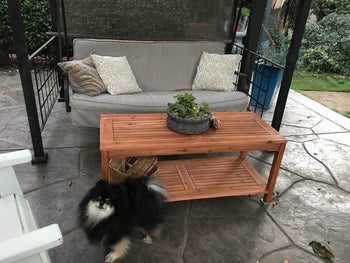 Reviewer pic of the coffee table
