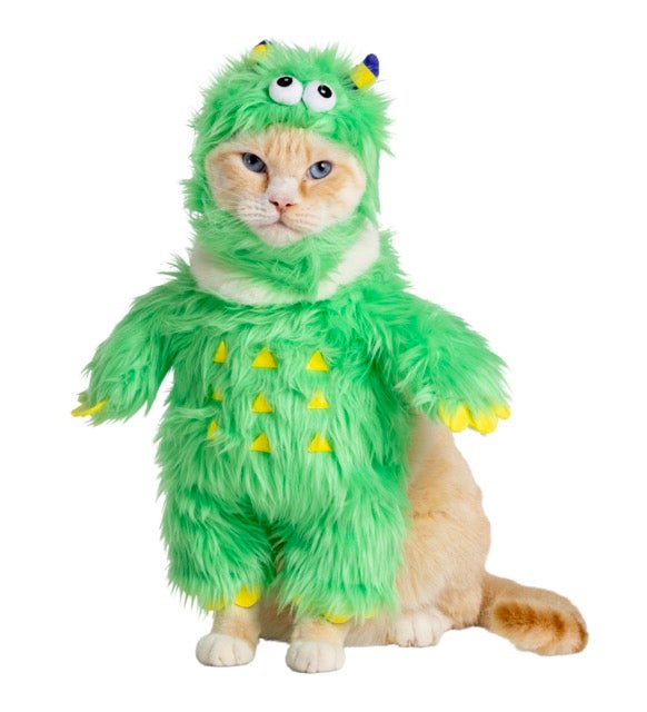 cat in monster costume