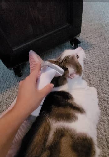 the reviewer using one of the attachments to brush their cat