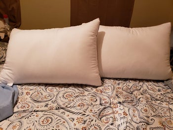 Two white pillows propped up on a bed