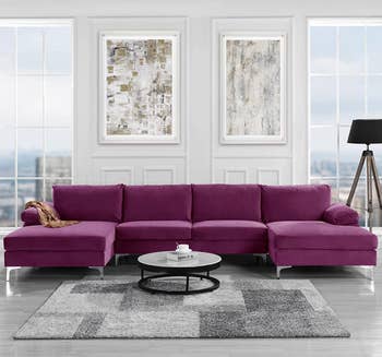 the purple couch