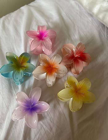the six hair clips in different colors