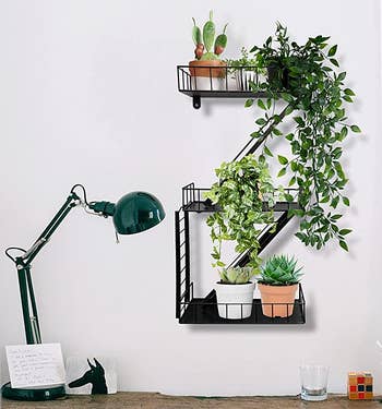 the fire escape shelf hanging above a desk and holding various plants