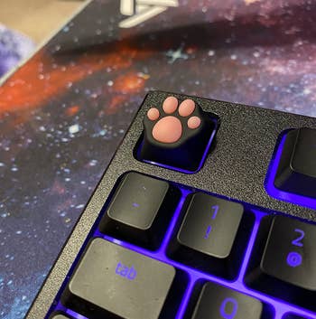 black paw print key on a reviewer's keyboard