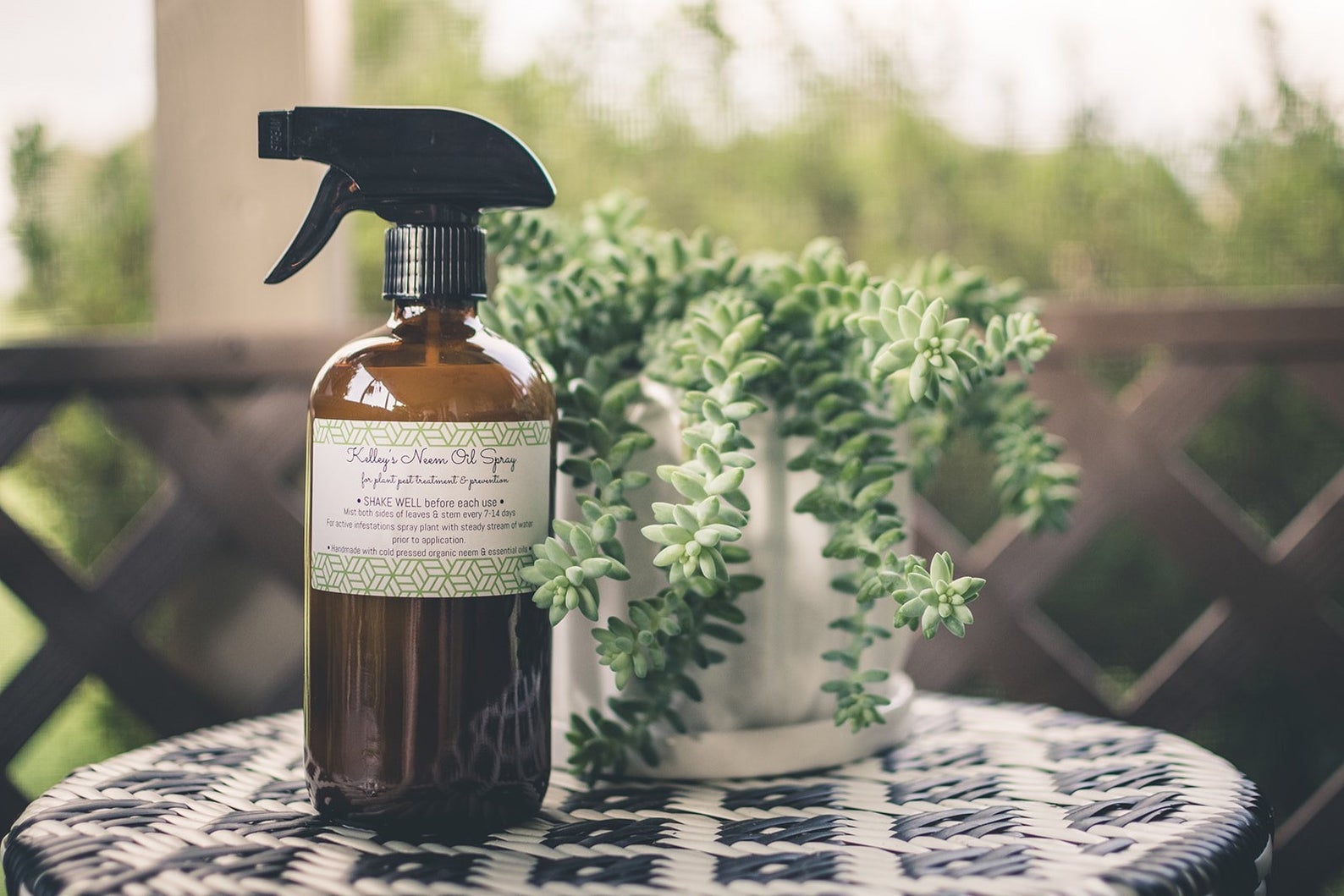 the spray bottle of neem oil next to a plant