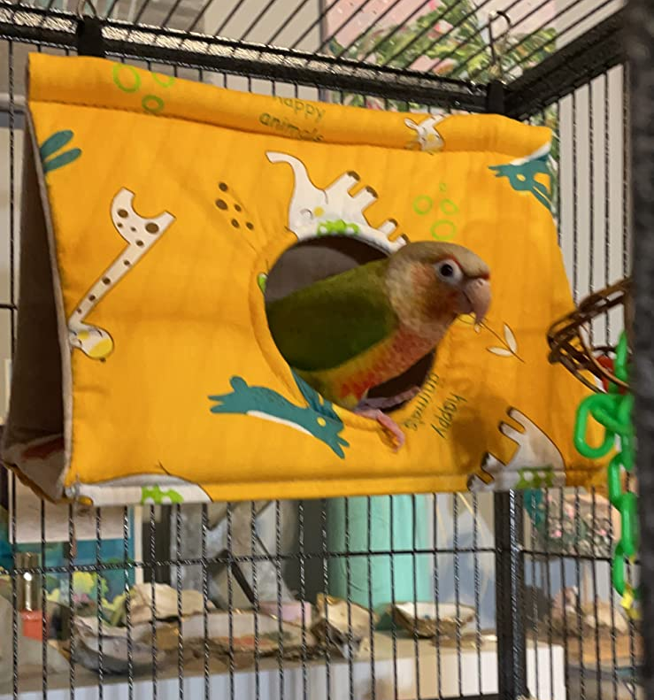 bird sits in triangular cloth nest 