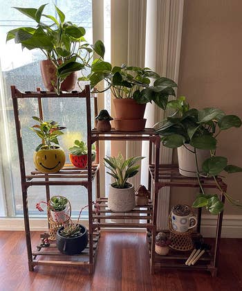several plants and decor arranged on a bamboo plant stand with multiple tiers