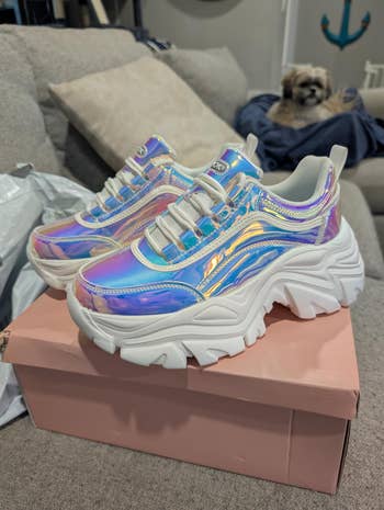 Holographic chunky sneakers connected a pinkish box, displayed connected a sofa with a tiny canine successful the background