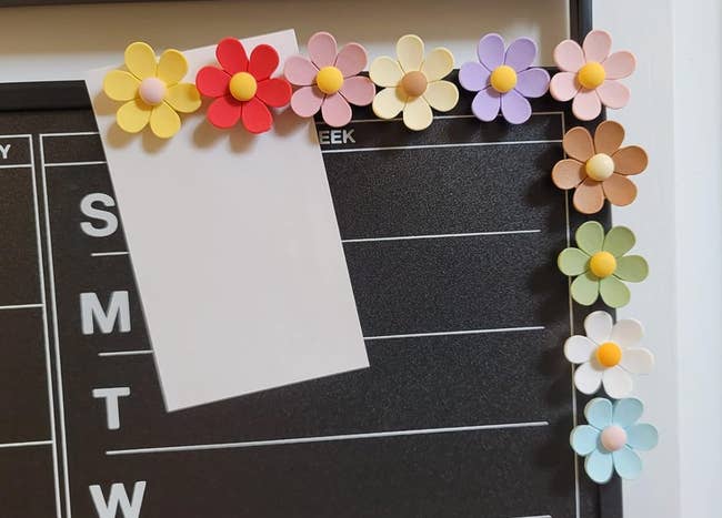 Flower shaped magnets in all different colors hanging on a wall calendar 