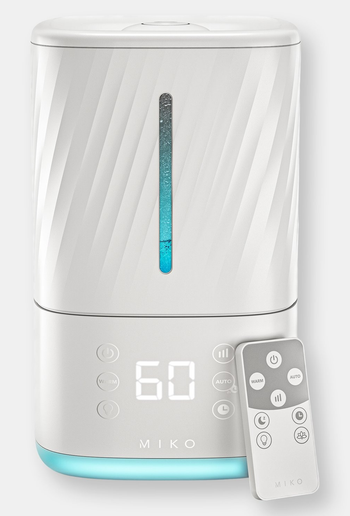 the humidifier and remote