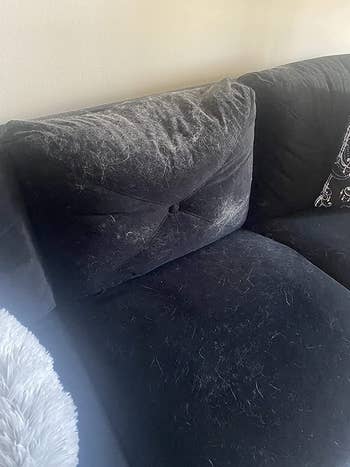 reviewer before image of a black couch covered in white fur
