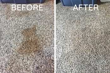 Reviewer before and after of their carpet with a stain and without one