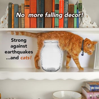 a graphic showing a cat walking around a glass jar