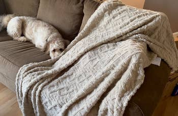 Reviewer pic of the cream textured blanket on a couch next to a dog