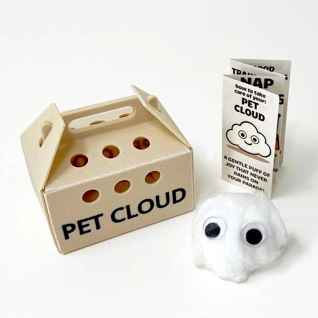 Pet Cloud artifact with googly eyes adjacent to a tiny bearer container and a attraction usher booklet