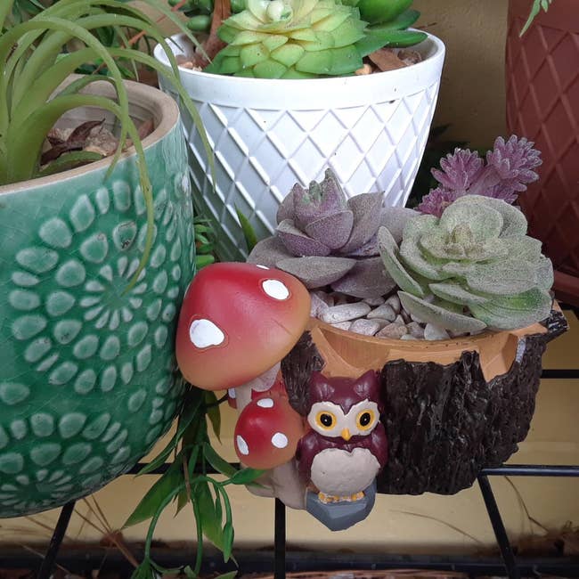 succulent planter with owl and mushrooms