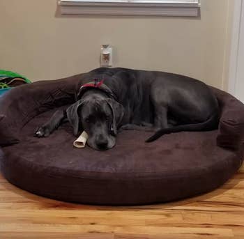 reviewer photo of Great Dane on brown round bed