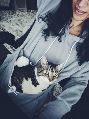 different reviewer's cat in the hoodie