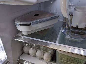 reviewer showing the container in a fridge