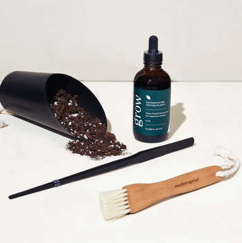 Soil scooper with soil inside next to bottle of soil nutrients, long black tweezers, and wooden brush