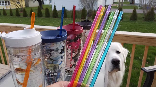 a reviewer photo of someone holding some of the straws and the other straws placed inside of four different tumblers to show how they fit
