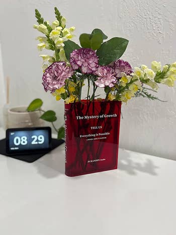 a reviewer's red see through book-shaped vase