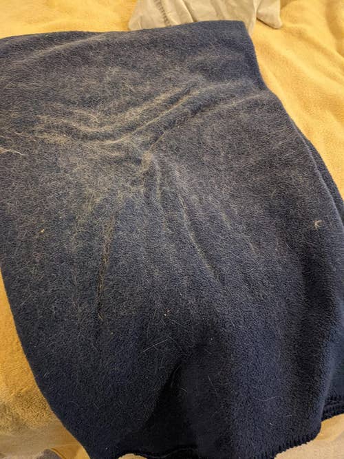 Reviewer photo of a black blanket with fur covering all of it