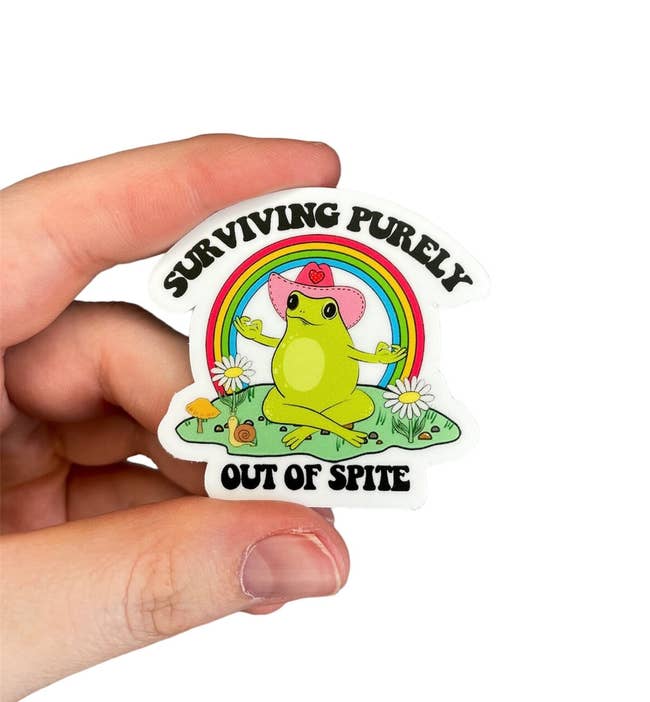 Hand holding a sticker with an illustration of a smug-looking frog under a rainbow, text reads 