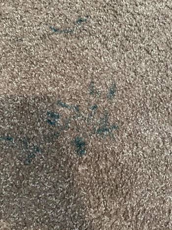 carpet with blue permanent market ink stains
