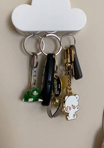 reviewer photo of the cloud key holder holding various sets of keys