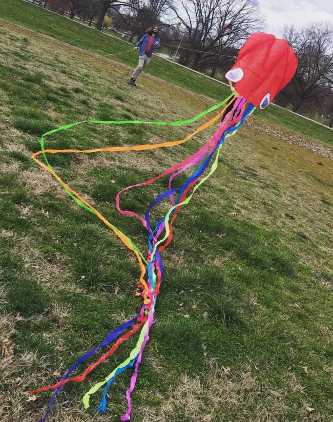 The colorful octopus kite