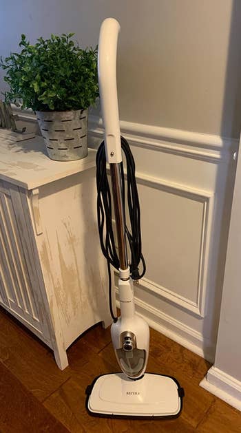 Reviewer image of white steam mop in front of gray and white wall