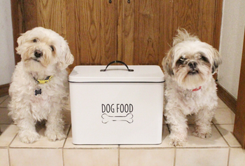 reviewer photo of two small dogs next to dog food container