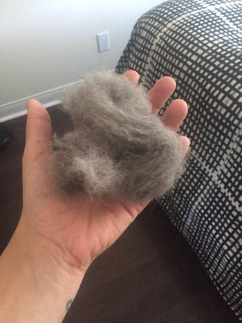 Another reviewer showing all the pet hair removed with ChomChom