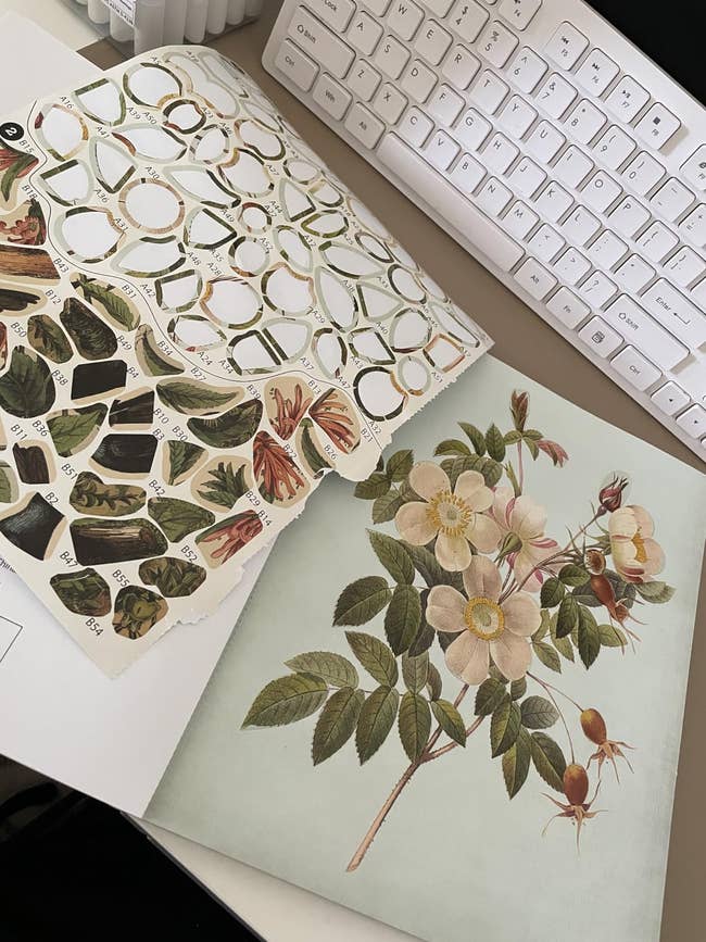 Open publication with botanical illustrations and stickers, featuring elaborate images of flowers and leaves, adjacent a keyboard connected a desk