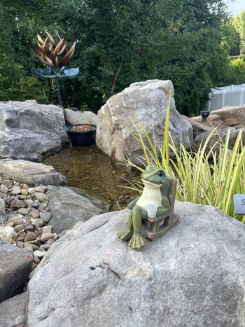 Frog figurine sitting connected a rocking seat by a tiny pond, holding a cup, surrounded by rocks and plants successful a plot setting