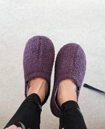 Person wearing purple slippers
