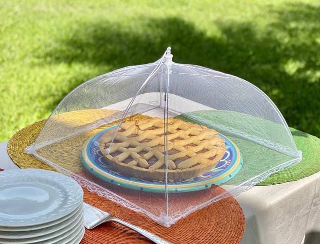 reviewer photo of the mesh food cover protecting a tart