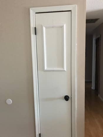door with rectangular molding 