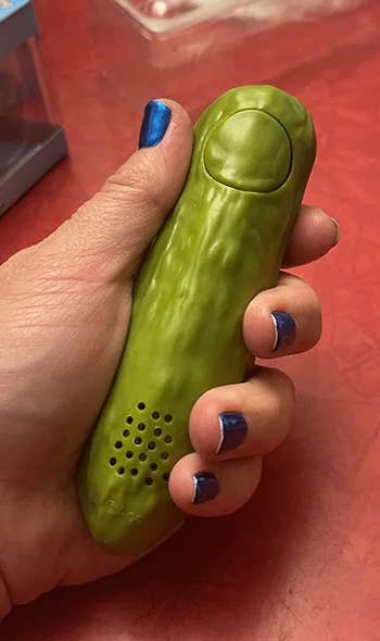 reviewer holding yodeling pickle