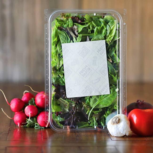 a plastic salad container with a freshpaper inside it on top of the greens