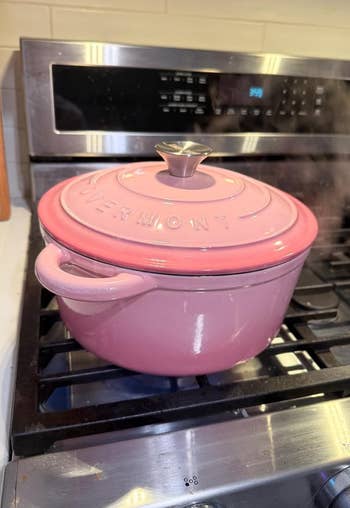 the pinkish dutch oven