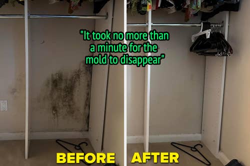 reviewer's closet before with a huge mold stain and after with it completely gone 