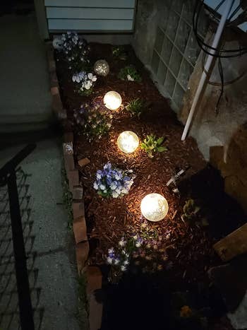 reviewer's garden with three glowing orbs in it