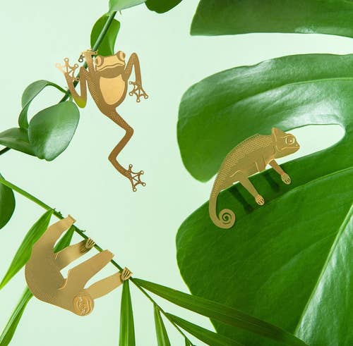 brass tree frog, sloth, and chameleon hooked onto plant leaves and stems