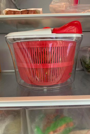 the salad spinner inside a reviewer's fridge